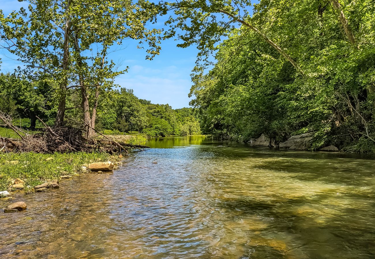 House in Mountain View - John Thomas Farmhouse ~ secluded valley + creek