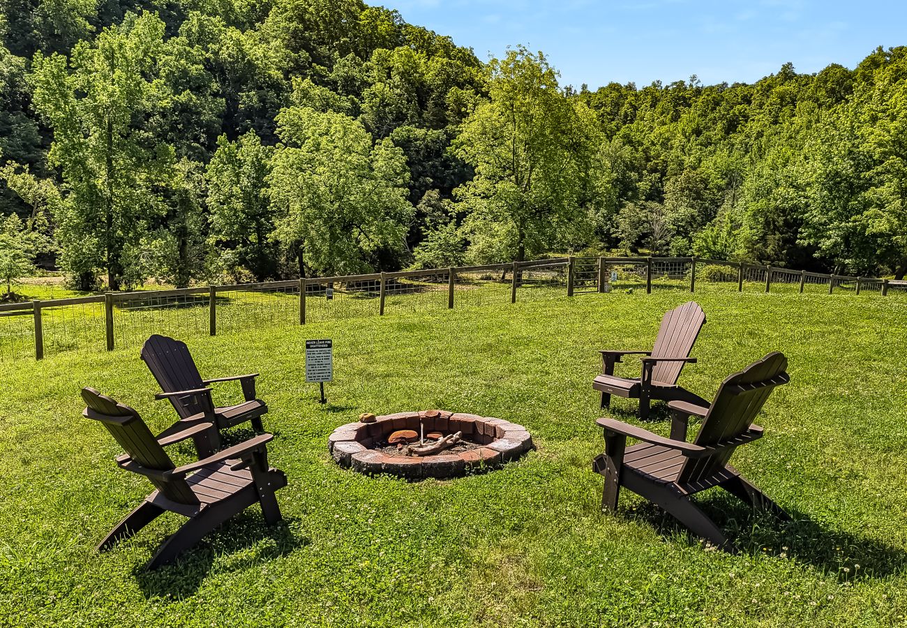 House in Mountain View - John Thomas Farmhouse ~ secluded valley + creek
