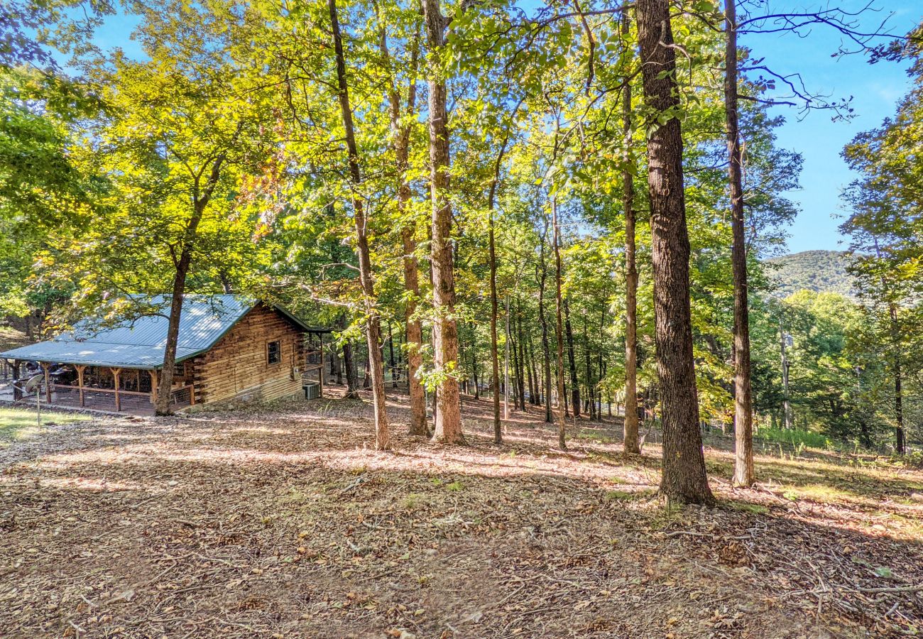 House in Mountain View - Lagniappe Cabin ~ romantic getaway