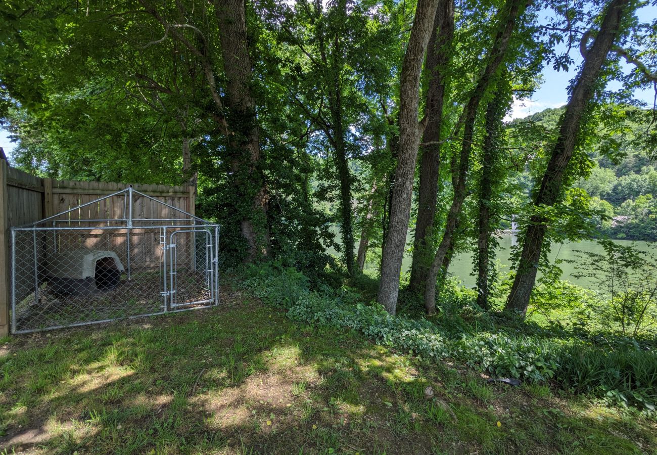 House in Mountain View - Coolwater Comfort ~ on the White River