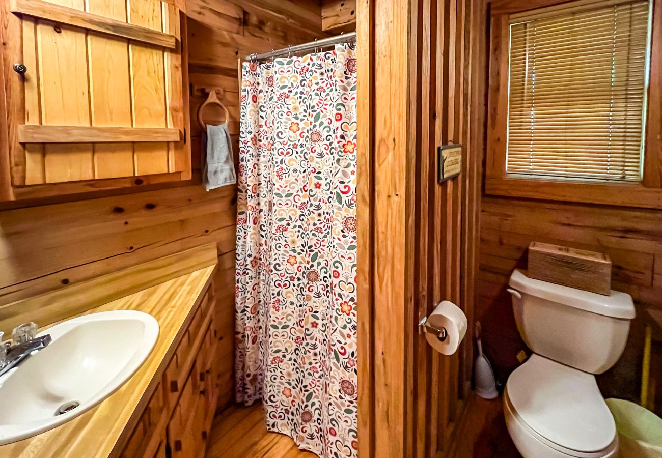 House in Heber Springs - Little Dunham River Cabin ~ on the Little Red