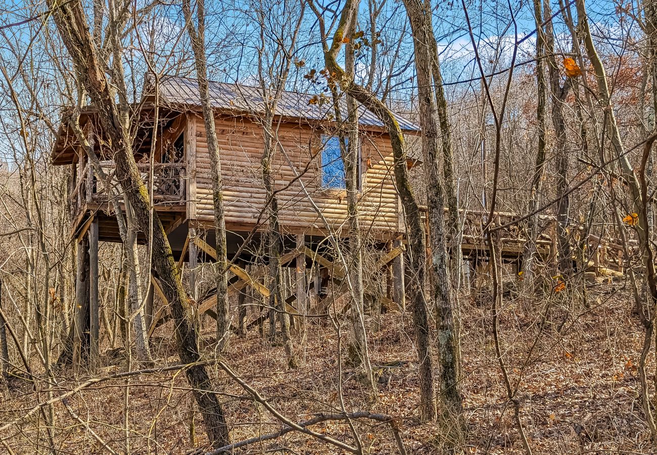 Cabin in Mountain View - Treehouse Thyme - total privacy in woods