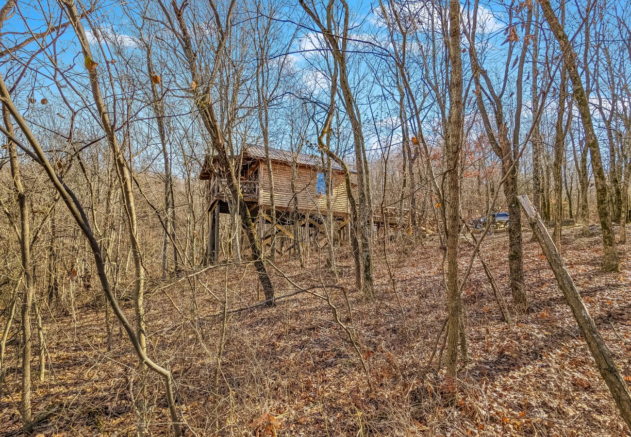 Cabin in Mountain View - Treehouse Thyme - total privacy in woods